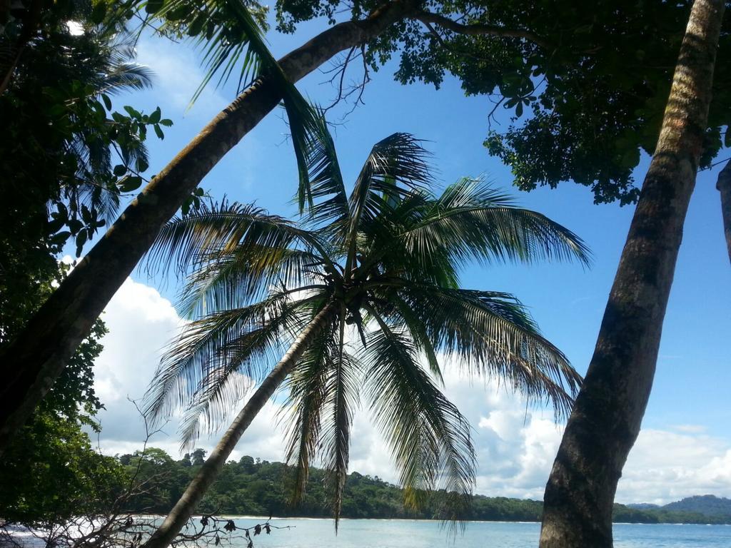 Mar Verde Lodge Puerto Viejo de Talamanca Экстерьер фото
