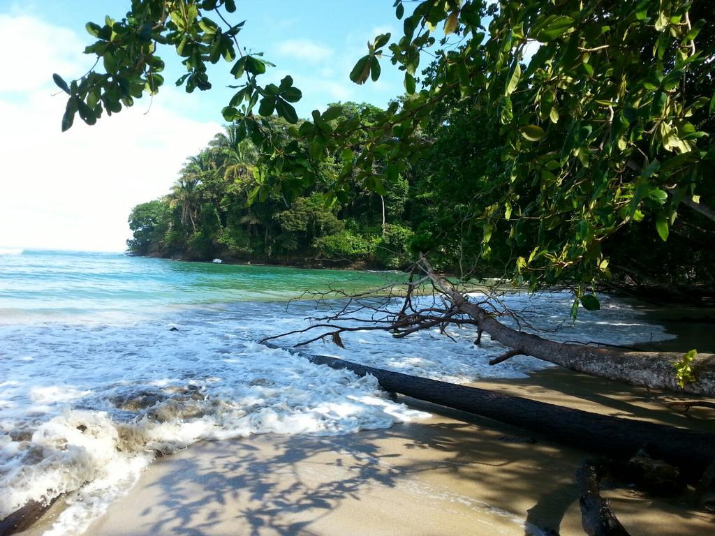 Mar Verde Lodge Puerto Viejo de Talamanca Экстерьер фото