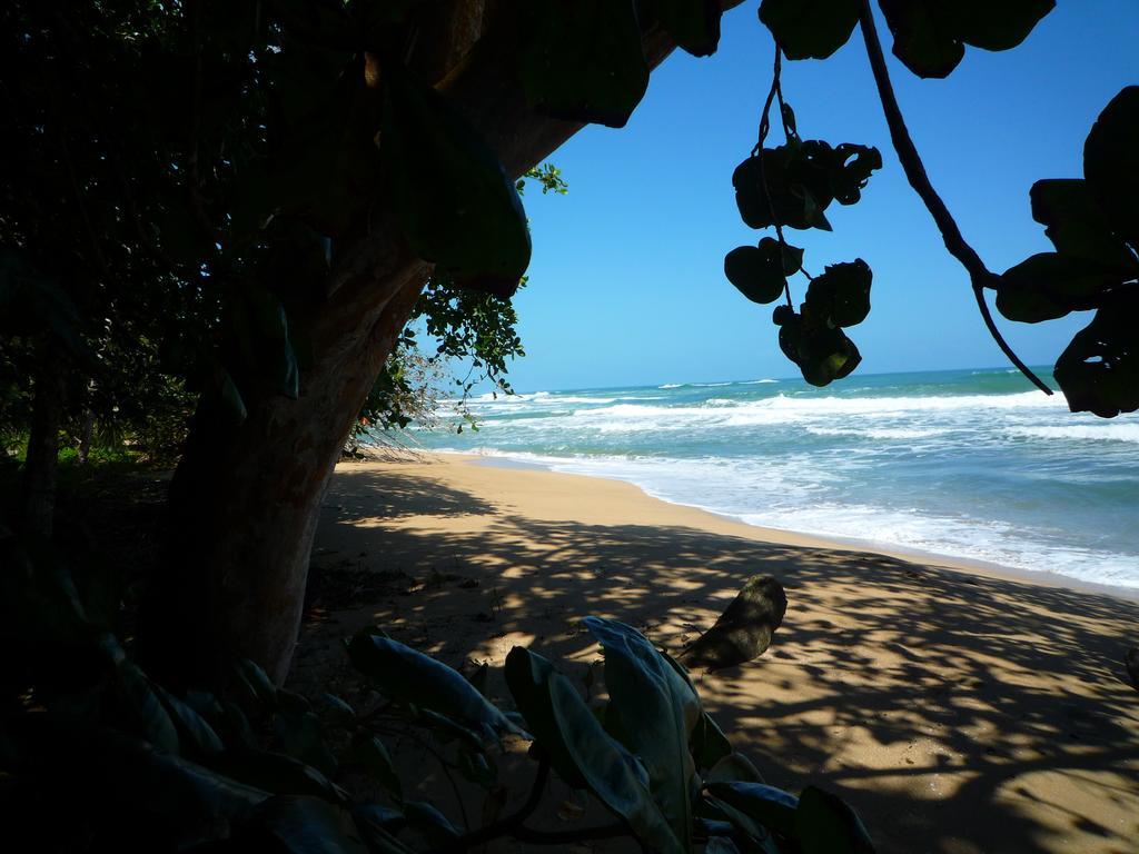 Mar Verde Lodge Puerto Viejo de Talamanca Экстерьер фото