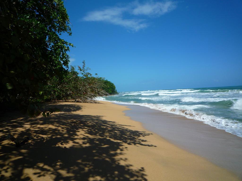 Mar Verde Lodge Puerto Viejo de Talamanca Экстерьер фото