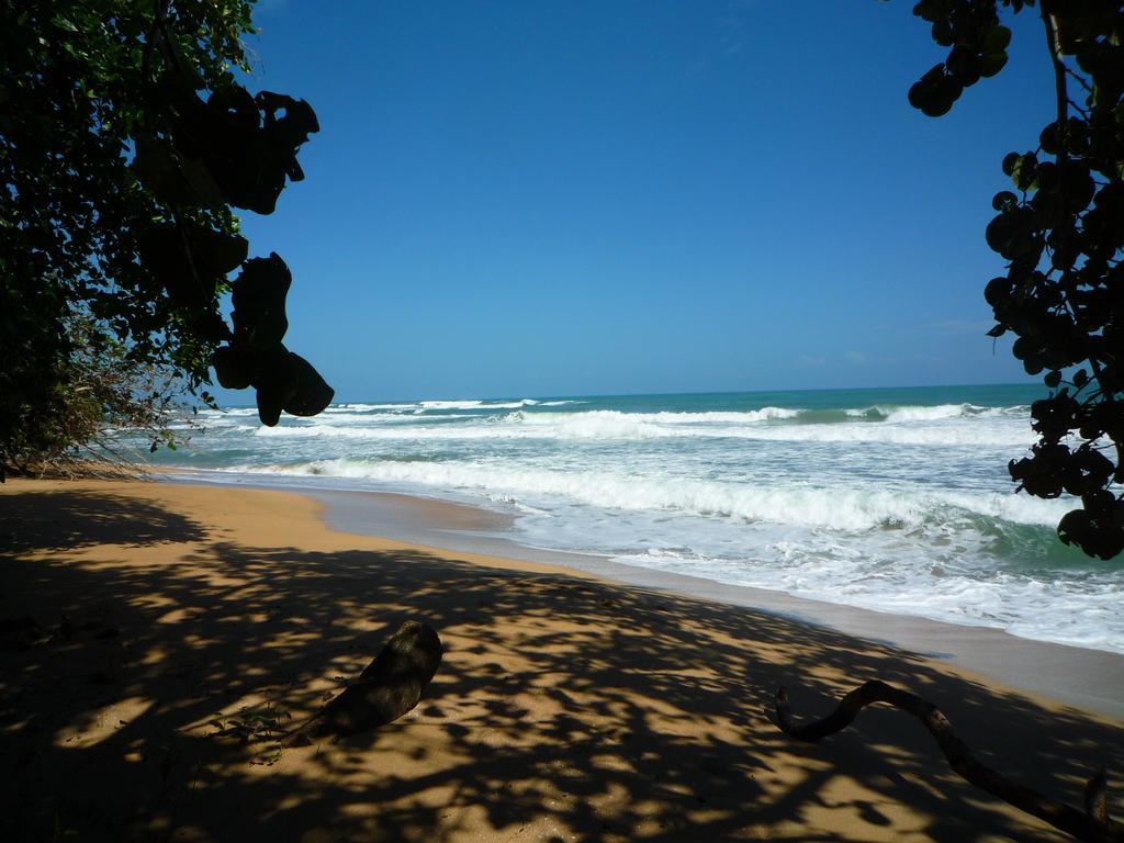 Mar Verde Lodge Puerto Viejo de Talamanca Экстерьер фото