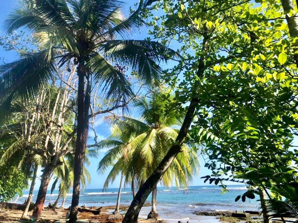 Mar Verde Lodge Puerto Viejo de Talamanca Экстерьер фото